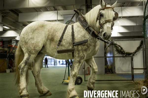 Les coulisses du Salon de l Agriculture #3