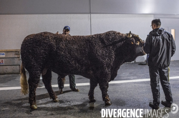 Les coulisses du Salon de l Agriculture #3