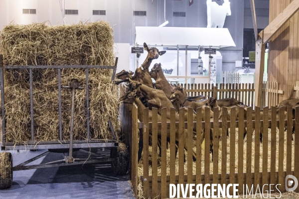 Les coulisses du Salon de l Agriculture #3