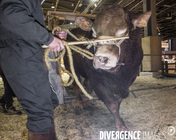 Les coulisses du Salon de l Agriculture #4 - Produit Animal