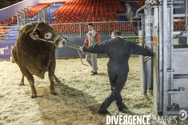 Les coulisses du Salon de l Agriculture #4 - Produit Animal