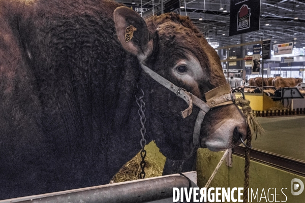 Les coulisses du Salon de l Agriculture #4 - Produit Animal