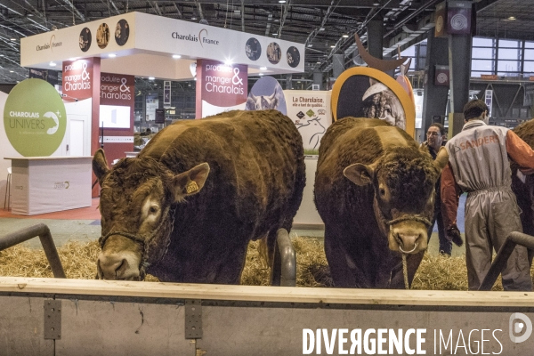 Les coulisses du Salon de l Agriculture #4 - Produit Animal