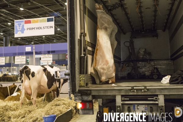 Les coulisses du Salon de l Agriculture #4 - Produit Animal