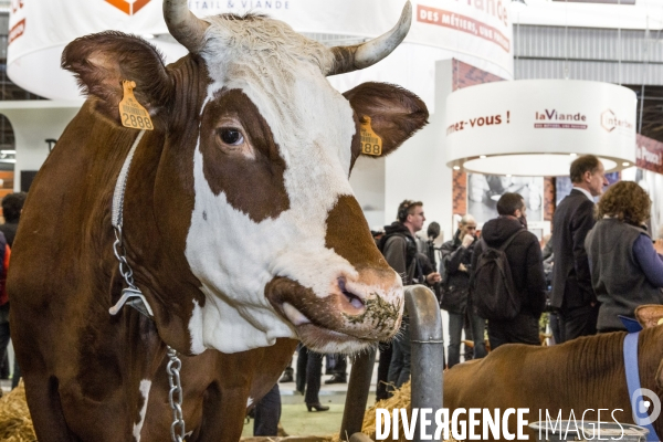 Les coulisses du Salon de l Agriculture #4 - Produit Animal
