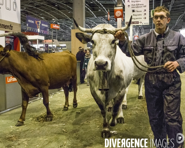 Les coulisses du Salon de l Agriculture #4 - Produit Animal