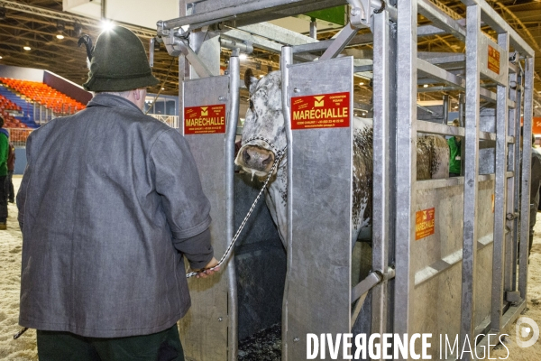 Les coulisses du Salon de l Agriculture #4 - Produit Animal