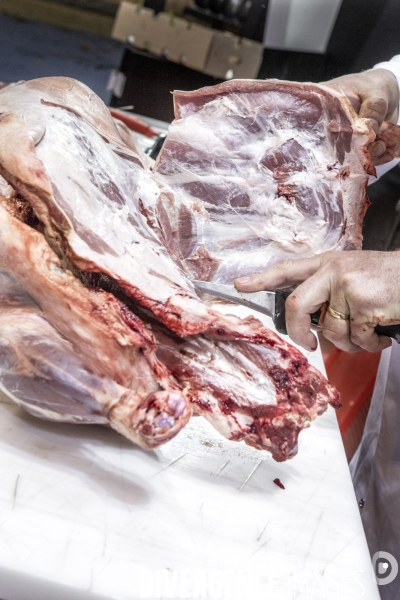 Les coulisses du Salon de l Agriculture #4 - Produit Animal