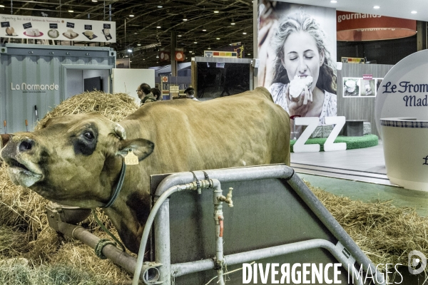 Les coulisses du Salon de l Agriculture #4 - Produit Animal