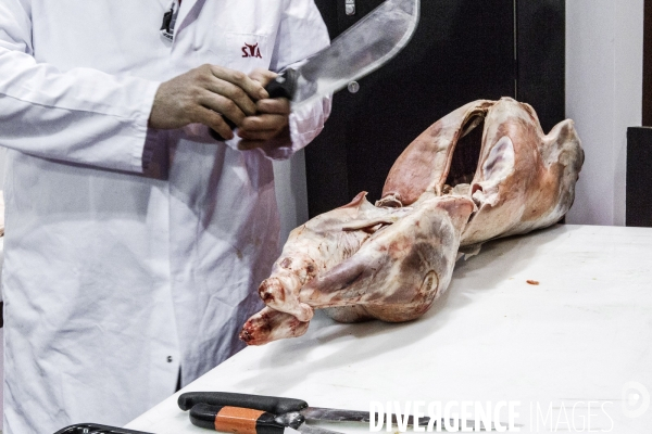 Les coulisses du Salon de l Agriculture #4 - Produit Animal
