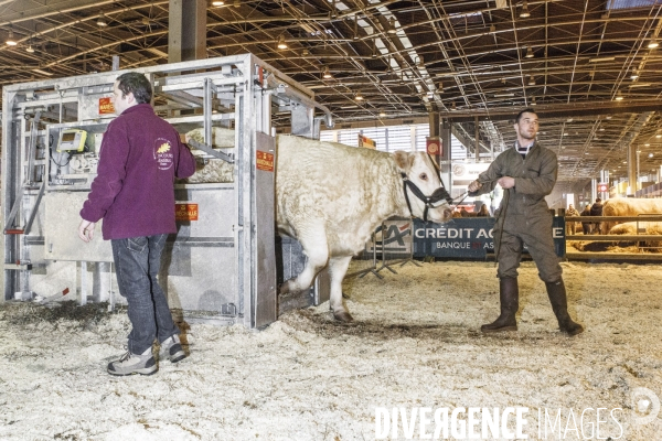 Les coulisses du Salon de l Agriculture #4 - Produit Animal