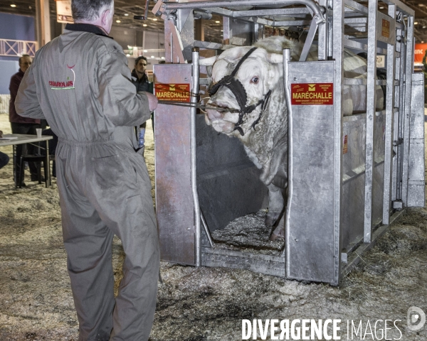 Les coulisses du Salon de l Agriculture #4 - Produit Animal