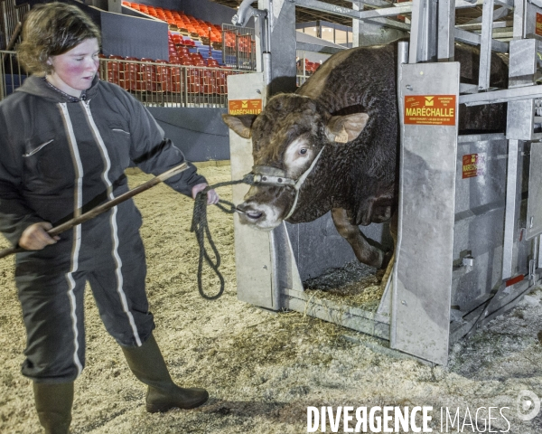 Les coulisses du Salon de l Agriculture #4 - Produit Animal