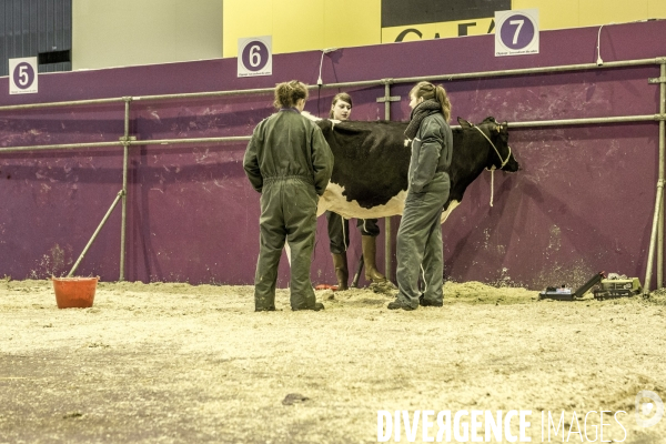 Les coulisses du Salon de l Agriculture #4 - Produit Animal