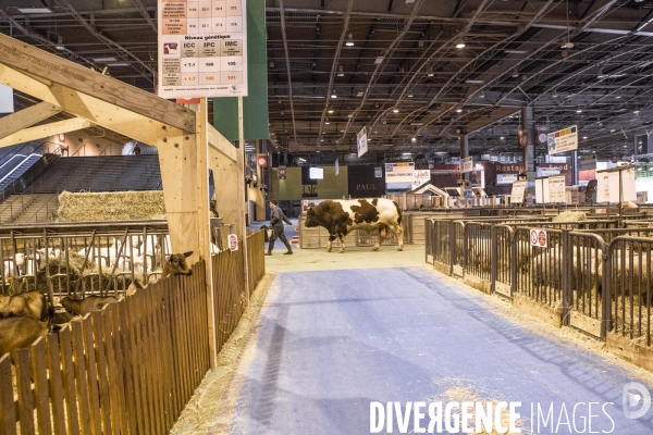 Les coulisses du Salon de l Agriculture #4 - Produit Animal