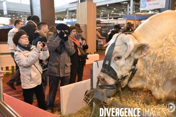 Salon de l Agriculture à Paris. Agricultural show in Paris.