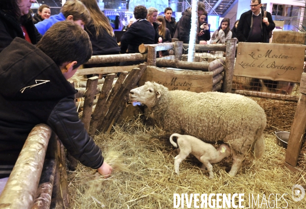 Salon de l Agriculture à Paris. Agricultural show in Paris.