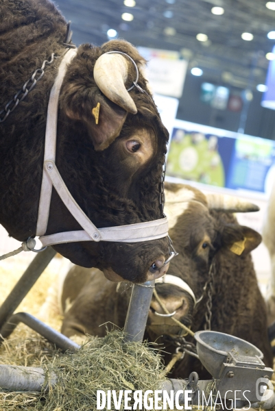 Salon de l Agriculture à Paris. Agricultural show in Paris.