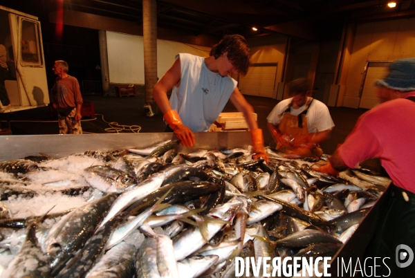 Le Lycee Maritime de Ciboure : formation de jeunes adolescents aux metiers de marins pecheurs