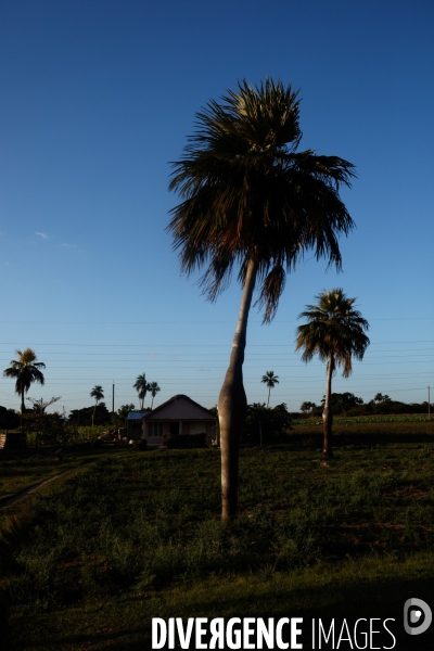 Cuba