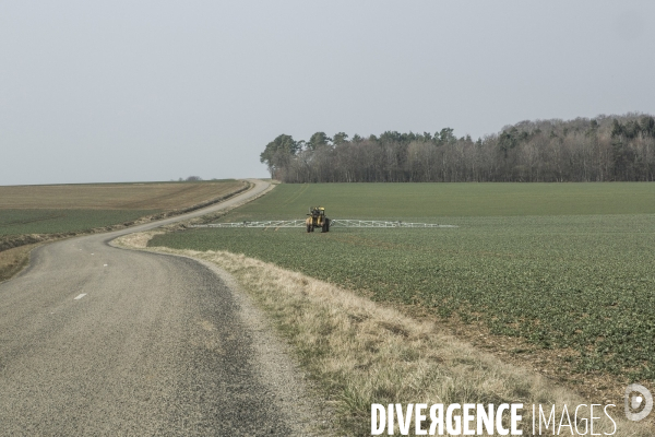 Paysages ruraux
