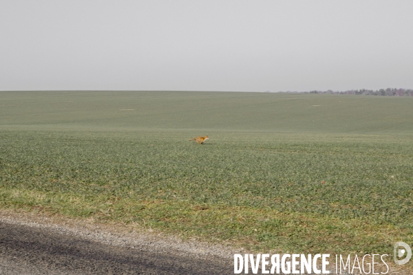 Paysages ruraux