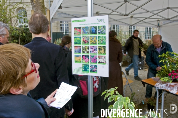 Premiere vente des surplus de vegetaux de la pepiniere municipale square Villemin à Paris.