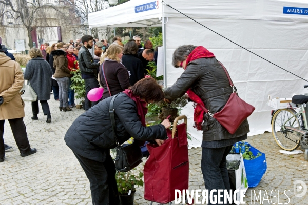 Premiere vente des surplus de vegetaux de la pepiniere municipale square Villemin à Paris.