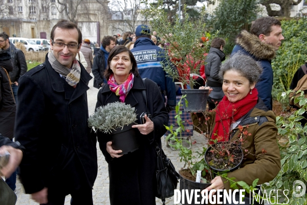 Premiere vente des surplus de vegetaux de la pepiniere municipale square Villemin à Paris.