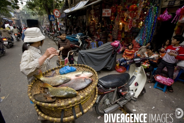 Hanoi/vietnam