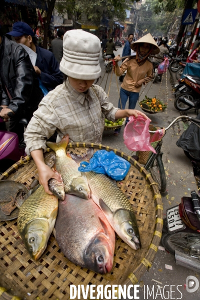 Hanoi/vietnam