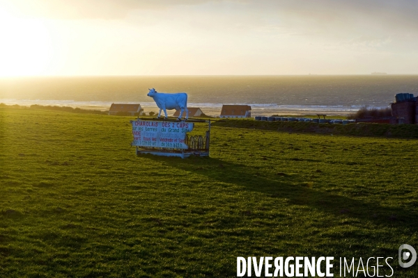 Illustration Mars 2015.Ciel d orage sur le detroit du Pas de Calais, non loin du Cap Gris Nez.Dans le champ devant la ferme,une fausse vache fait de la publicite pour des produits fermiers vendus a la ferme