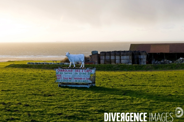 Illustration Mars 2015.Ciel d orage sur le detroit du Pas de Calais, non loin du Cap Gris Nez.Dans le champ devant la ferme,une fausse vache fait de la publicite pour des produits fermiers vendus a la ferme