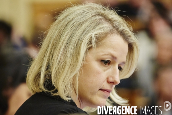 Reunion écologistes 4 avril 2015 assemblée nationale