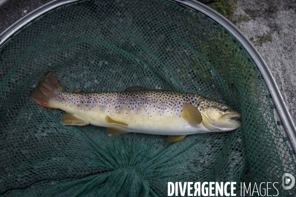 Pêche en haute montagne