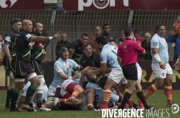 Les deux Rugbys de Perpignan Le XV