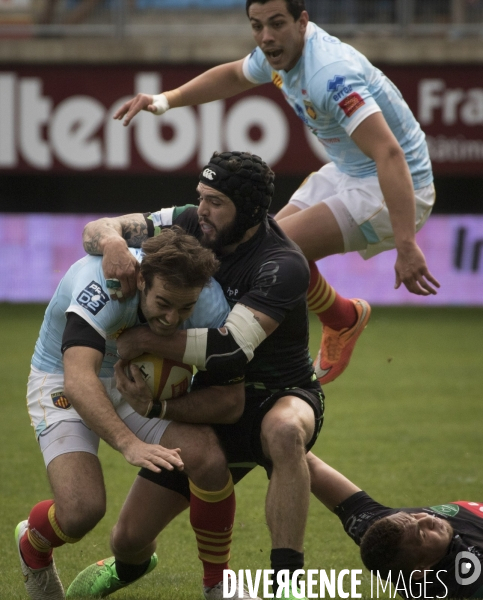 Les deux Rugbys de Perpignan Le XV