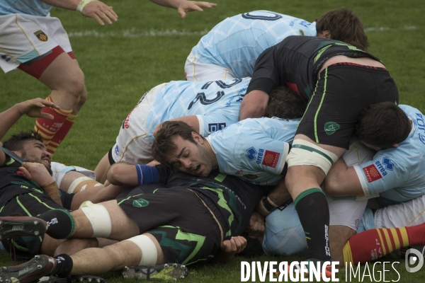 Les deux Rugbys de Perpignan Le XV