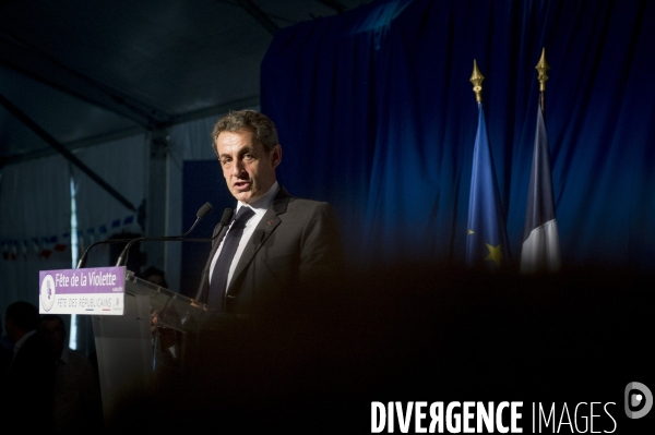 Nicolas Sarkozy à la fête de la Violette