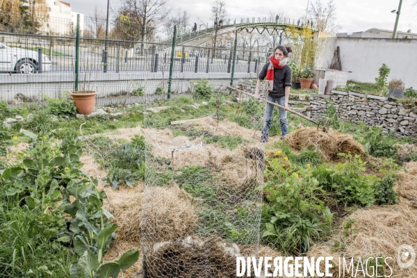 Agriculture urbaine avec CLINAMEN