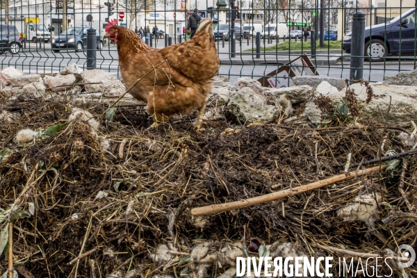 Agriculture urbaine avec CLINAMEN