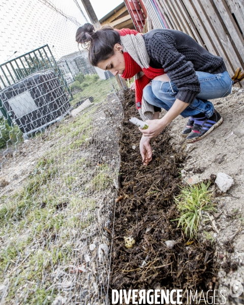 Agriculture urbaine avec CLINAMEN
