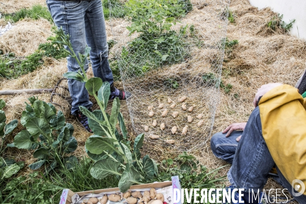 Agriculture urbaine avec CLINAMEN