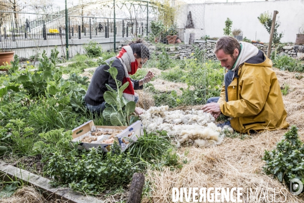 Agriculture urbaine avec CLINAMEN