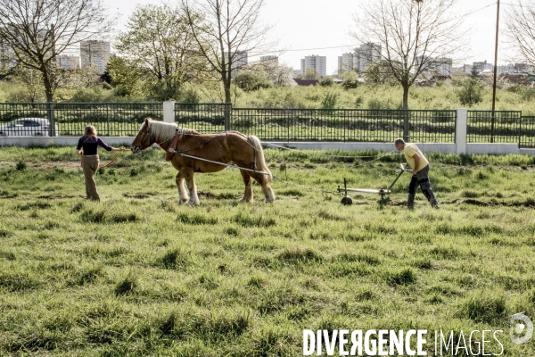 Labour sur le campus de Villetaneuse avec les Bergers Urbains