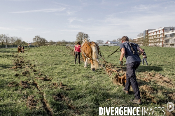 Labour sur le campus de Villetaneuse avec les Bergers Urbains