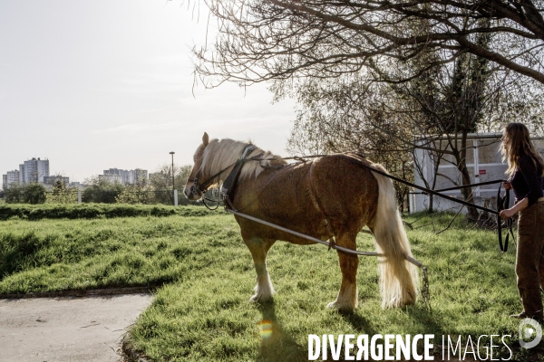 Labour sur le campus de Villetaneuse avec les Bergers Urbains