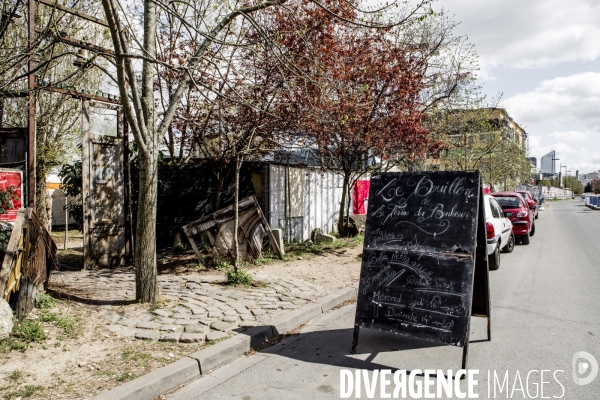 Nanterre, son Universite, ses Oies et...ses Moutons