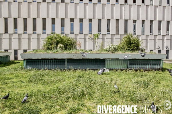 Le Vert de Beaugrenelle