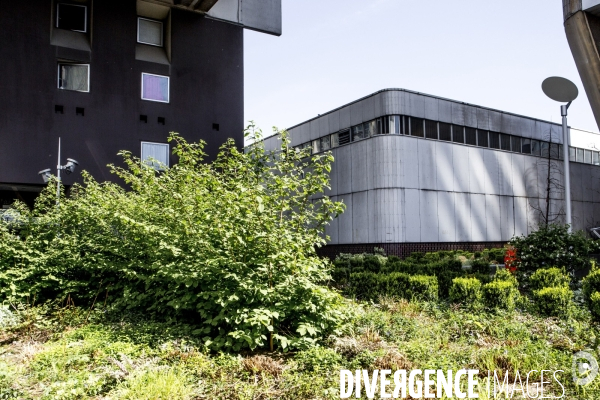 Le Vert de Beaugrenelle